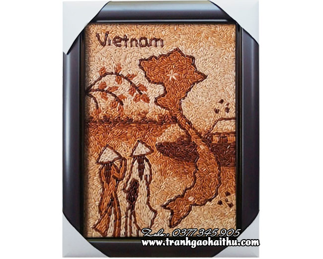 Áo dài và bản đồ VN 2